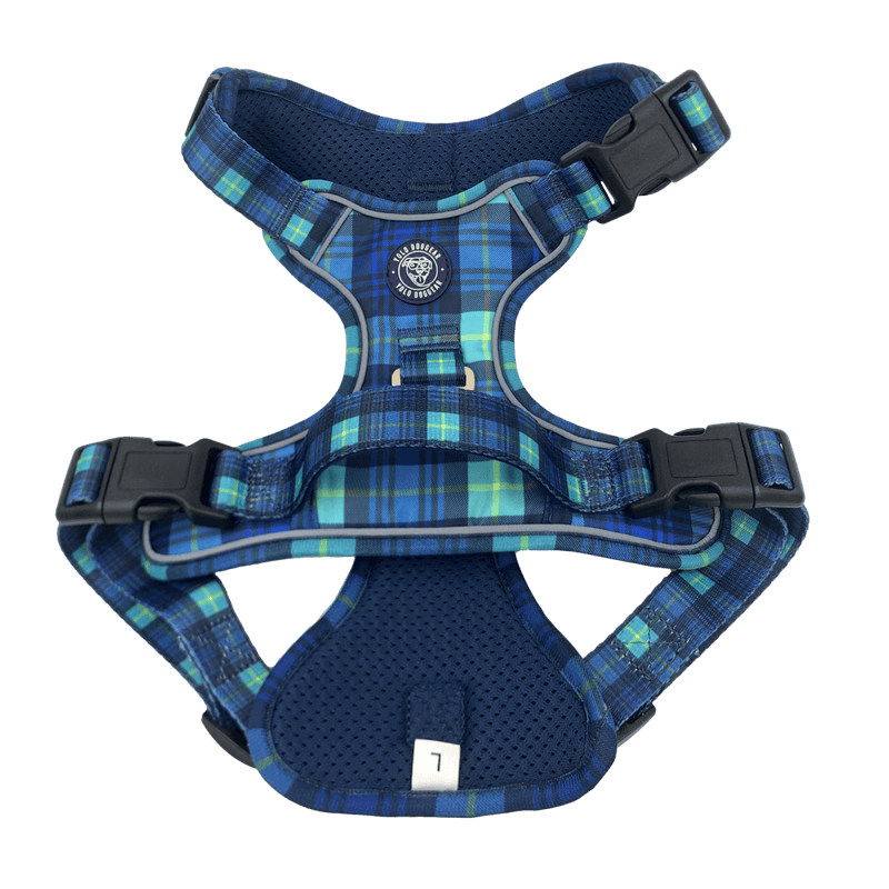 ELITE HUNDESELE - BLÅ TARTAN