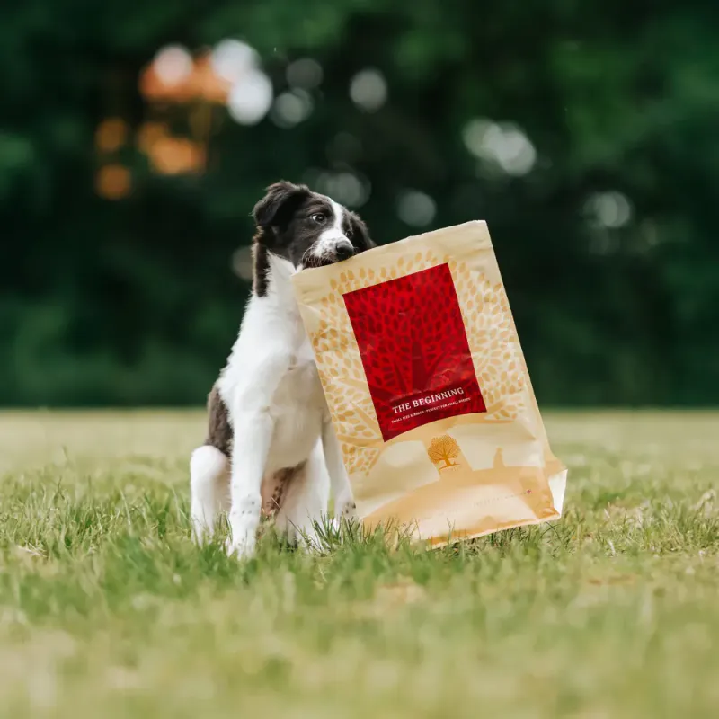 THE BEGINNING SMALL BREED, 2,5 KG