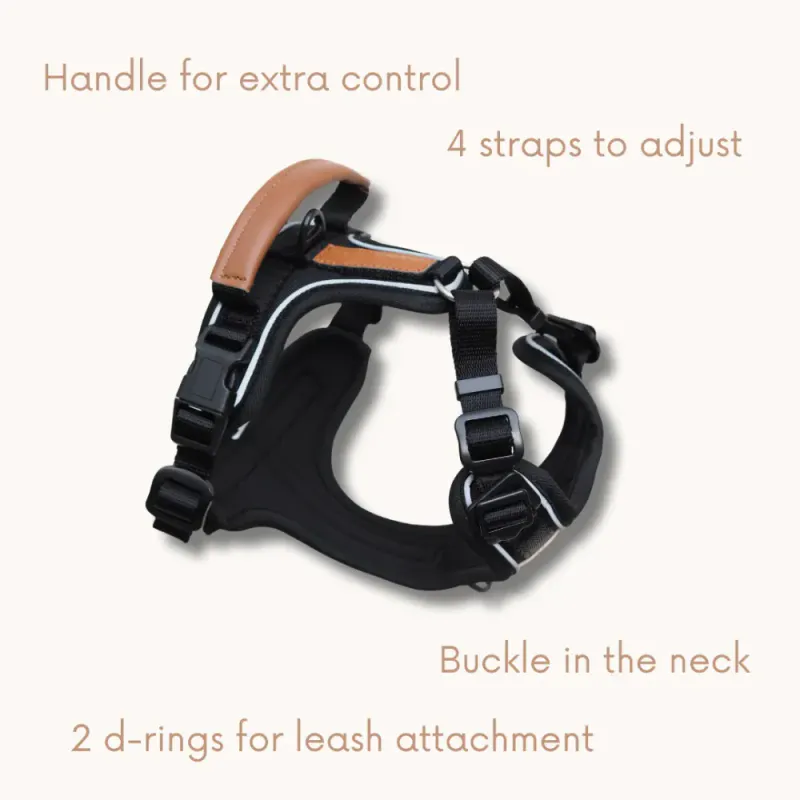 TARRAIN TRAILS PRO HUNDESELE -  Black