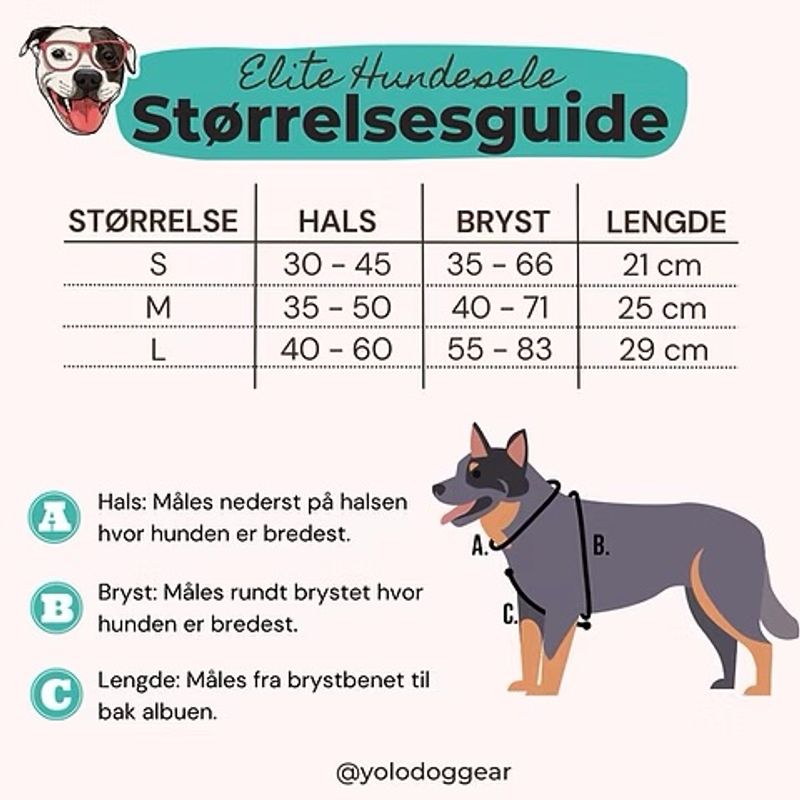 ELITE HUNDESELE - NATUR